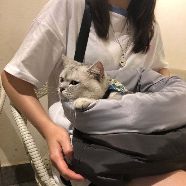 Kattenrugzak Voor Op Reis